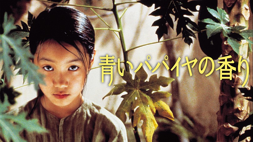 青いパパイヤの香り　中古VHSビデオ　字幕スーパー　トラン・アン・ユン監督作品 Amazon.co.jp: 青いパパイヤの香り [DVD] : トラン・ヌー