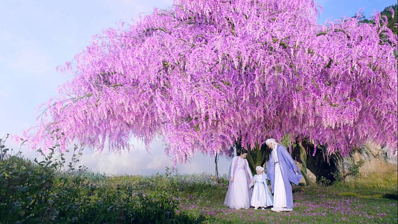 夢幻の桃花〜三生三世枕上書〜 第56話(最終話)【韓流・アジア